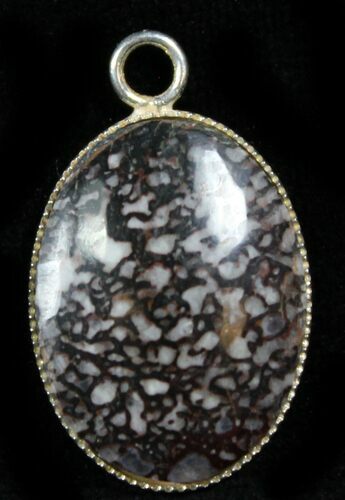 Small Colorado Agatized Dinosaur Bone Pendant #26981